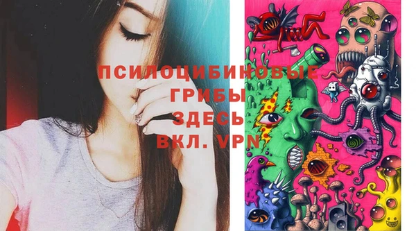 спиды Алзамай