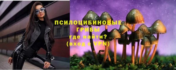 спиды Алзамай