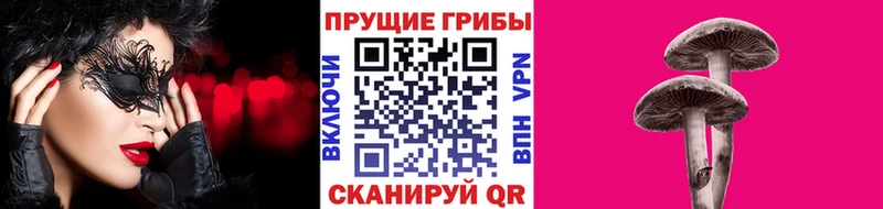купить наркотики сайты  Подольск  Галлюциногенные грибы Magic Shrooms 